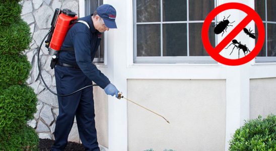 Nergiz Bit İlaçlama böcek ilaçlama ve haşere kontrolü — ilaclama-tr.com